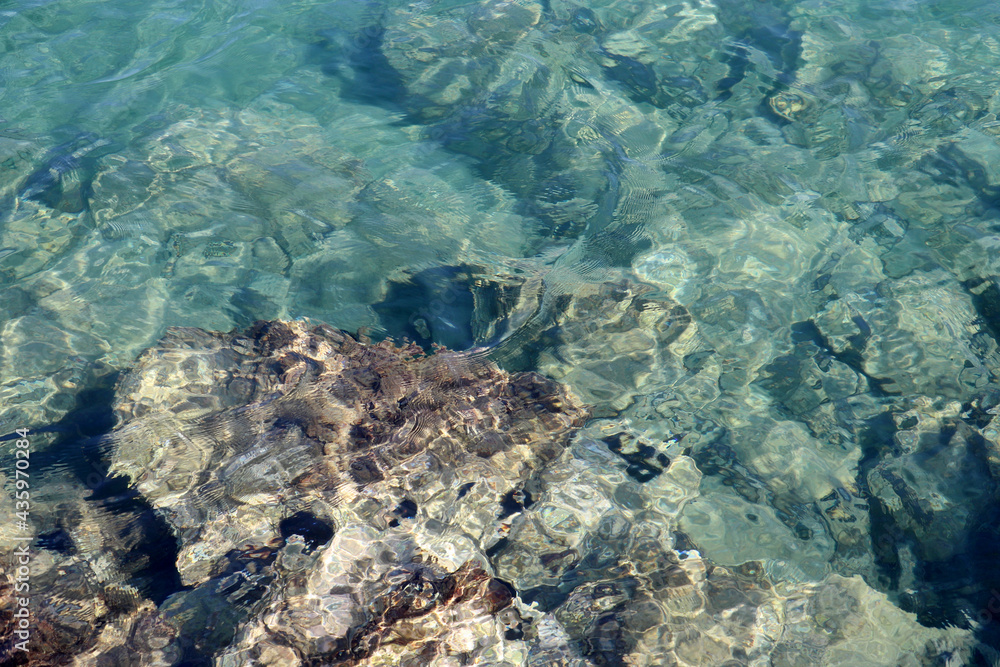 Wall mural Underwater stones, transparent sea surface with a rocky bottom. View to reefs in azure water, natural background