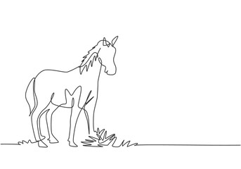 Single one line drawing of a horse standing firmly on the pasture. Successful livestock business run by professional farmers. Minimalism concept. One line draw design graphic vector illustration.