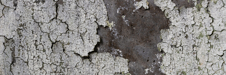 Peeling paint on the wall. Panorama of a concrete wall with old cracked flaking paint. Weathered rough painted surface with patterns of cracks and peeling. Panoramic texture for background and design.