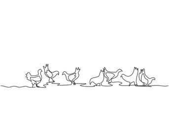 Fototapeta na wymiar Single continuous line drawing of several chickens were playing in the fields while looking for food. Successful farming minimalism concept. Dynamic one line draw graphic design vector illustration