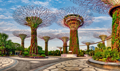 Singapore Super tree garden in Marina bay at day, nobody - obrazy, fototapety, plakaty