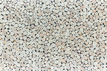 texture background