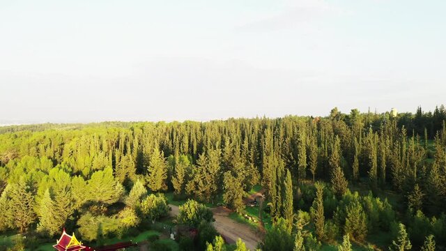 Aerial Ascending Shot Of Green Trees On Land Against Clear Sky, Drone Flying Over Thai Pagoda On Sunny Day - Ben Shemen, Israel