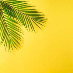 Fototapeta na wymiar Green tropical palm leaves aganist pastel yellow background. Minimal summer concept. Creative flat lay with copy space.