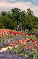 Tulipe, Muscari, Jardins, Parc floral, Vincennes, 94, Val de Marne