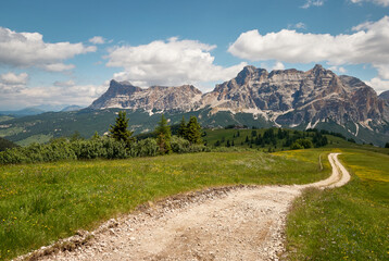 Trentino Alto Adige valley with flower meadows and mountains, Italy