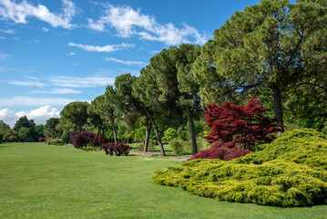 Lush green spring park with tree-lined walkways