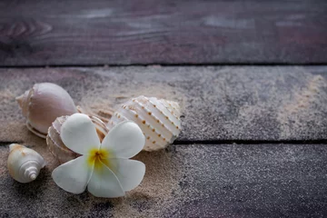 Wall murals Massage parlor Plumeria flowers with sea shell on black wooden table. free space. aromatherapy spa set for Luxury hotel or massage parlor. vacation in tropical summer travel holidays concept.