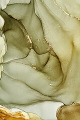 Alcohol ink art.Mixing liquid paints. Modern, abstract colorful background, wallpaper. Marble texture.Translucent colors