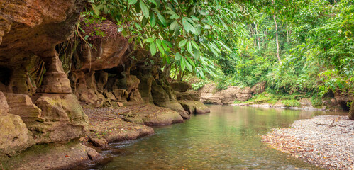 river in the forest with rock formations