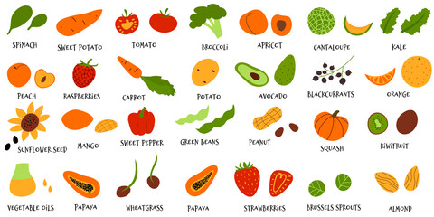 Vector collection of hand draw fruit and veggies in hand drawn cartoon flat style