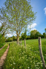 Obraz premium Paysage campagne 883