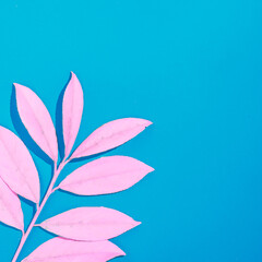 Fototapeta na wymiar Trendy color summer tropical concept with pink leaves on bright blue background. Minimal flat lay composition with copy space. Surreal futuristic color aesthetic.