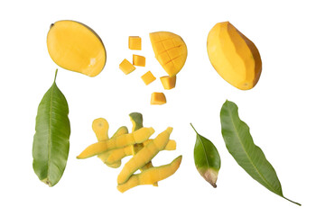 Element mango easy for design