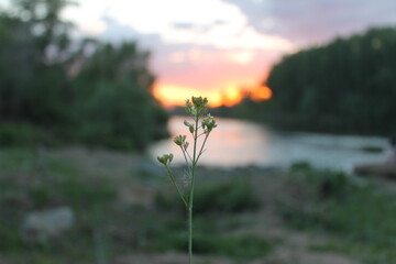 South Ural