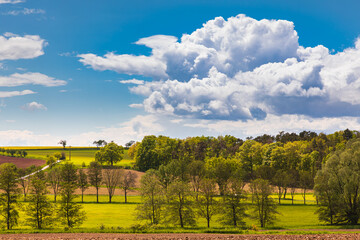 Landschaft mit Acker, Bäumen im Frühling mit blauen Himmel
