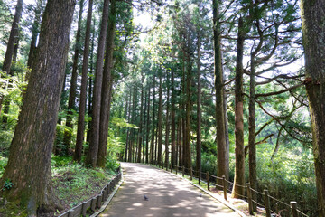 箱根恩賜公園