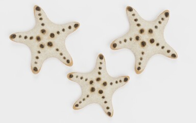 Fototapeta na wymiar Realistic 3D Render of Chocolate Chip Starfish
