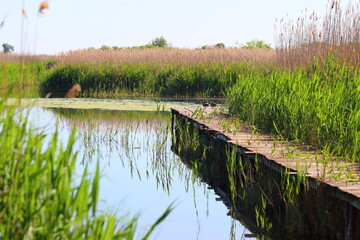 The beauty of the lake in spring