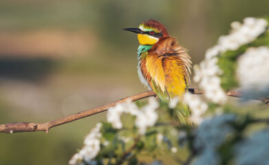 beautiful road winds through a green field