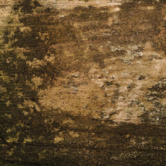 Fototapeta premium Old weathered wood as background, wood texture