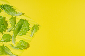 Food colorful background - young green salad leaves in hard light with shadow as border on yellow background, flat lay, copy space.