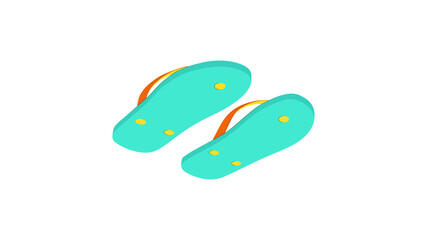 Flip flops isolated on a white background