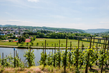 Saarburg, Saar, Fluss, Weinberge, Schifffahrt, Stadt, Altstadt, Altstadthäuser, Leuckbach,...