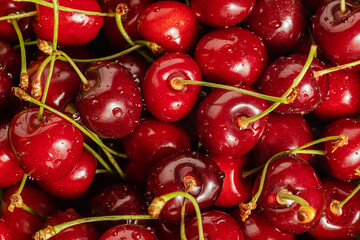 ripe, red, fresh cherry berries with water drops, close-up, delicious background