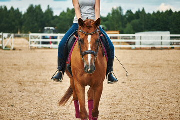 girl rider riding brown horse