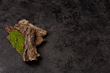 Textured dry trunk surface on dark structural background