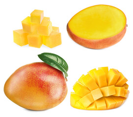Set with delicious ripe mangos on white background