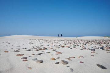 Turyści spacerują nad morzem, zdjęcie z oddali. Na pierwszym planie morski piasek w tle spacerowicze. - obrazy, fototapety, plakaty