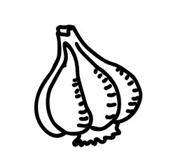 Garlic hand drawn illustration