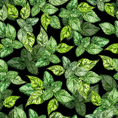 Watercolor seamless pattern with  green leaves of mint.