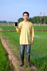 The full body of Asian farmer man wears yellow shirt holding smartphone black screen for presentation application at green rice farm.