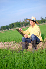 Naklejka na ściany i meble Asian farmer man wears yellow shirt sitting and writing for planning his work at green rice farm.