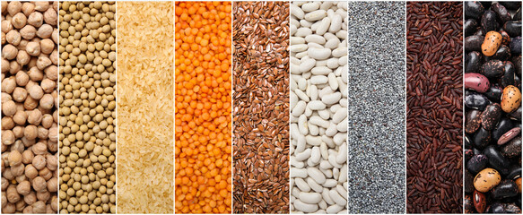 Collage with photos of different legumes and seeds, banner design. Vegan diet