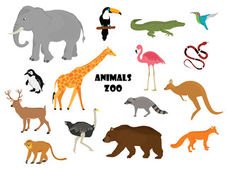 Zoo animals vector