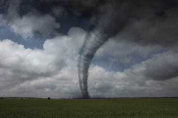 Obraz na płótnie Canvas Dangerous whirlwind at agricultural field. Weather phenomenon
