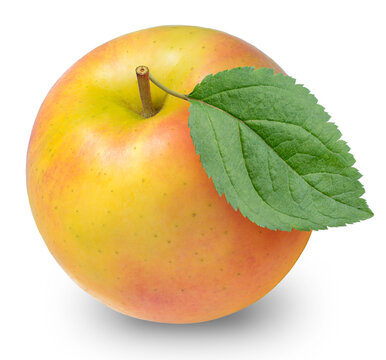 Fresh Yellow apple fruits with leaf on white background, Honey Yellow Toki apples isolated on white background With clipping path.