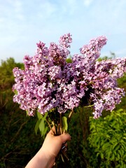 a bouquet of lilac flowers in hand