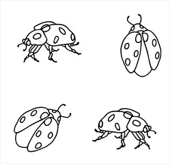 Ladybugs. Vector