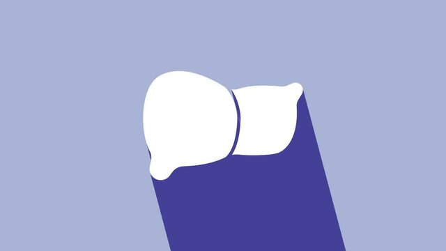 White Human organ liver icon isolated on purple background. 4K Video motion graphic animation