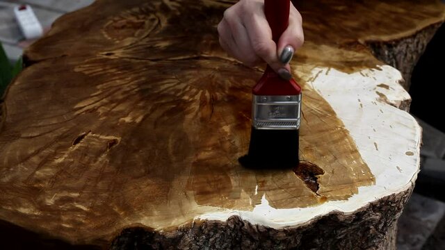 Close up of wood slab which is covered with a protective varnish in the carpenter's shop, the woman paints the paint on a wooden surface. Deep etching of wood before painting.