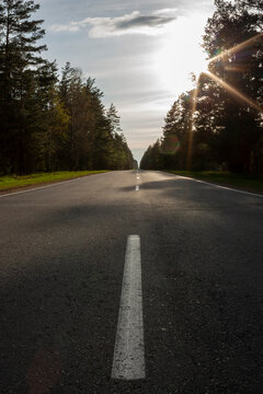 Vertical outdoor photography of an empty countryside asphalt road with trees along the both sides and sun, shining over it at daytime