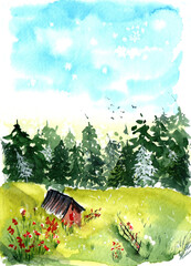 Watercolor illustration of an abandoned old wooden hut in a green meadow with flowers neae the pine wood
