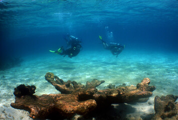 underwater scuba diver , caribbean sea