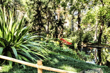 Leafy and green gardens at the Botanical Garden of Lisbon