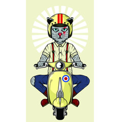 cat riding scooter cartoon vector illustration